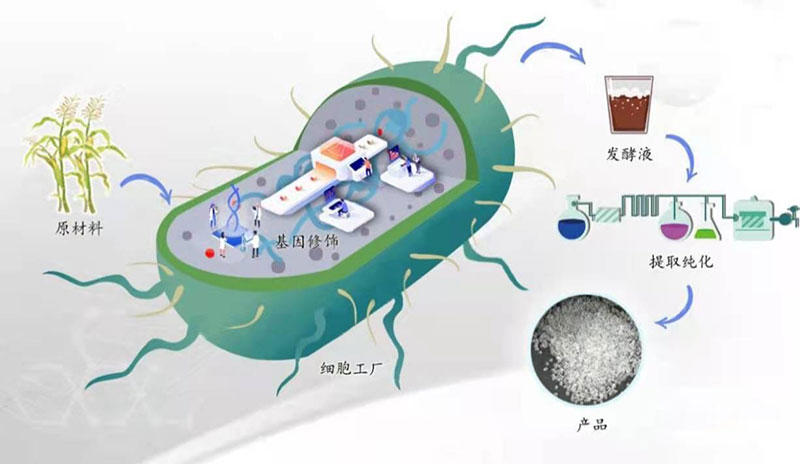 Synthetic Biology Industrial Accelerator: Accelerating New Manufacturing Methods